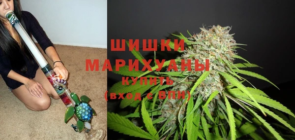 кокс Арсеньев