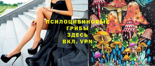 кокс Арсеньев